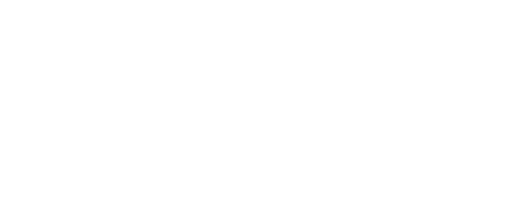 The MSF Show